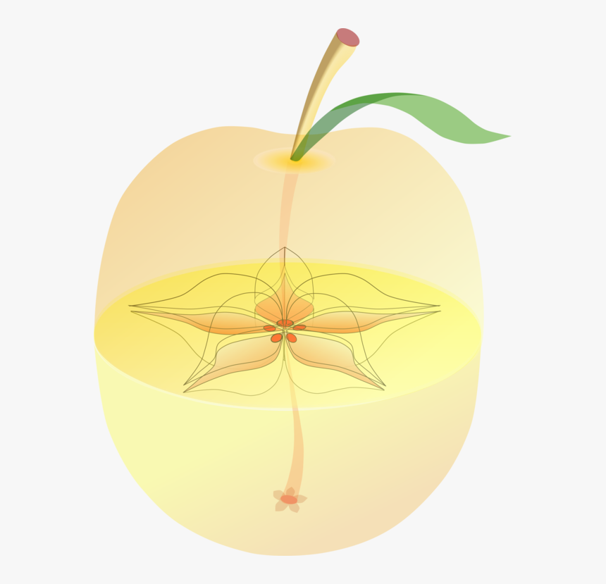 Plant,leaf,apple - Apple, HD Png Download, Free Download