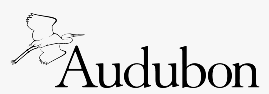 Audubon Logo Blk-resized - National Audubon Society, HD Png Download, Free Download