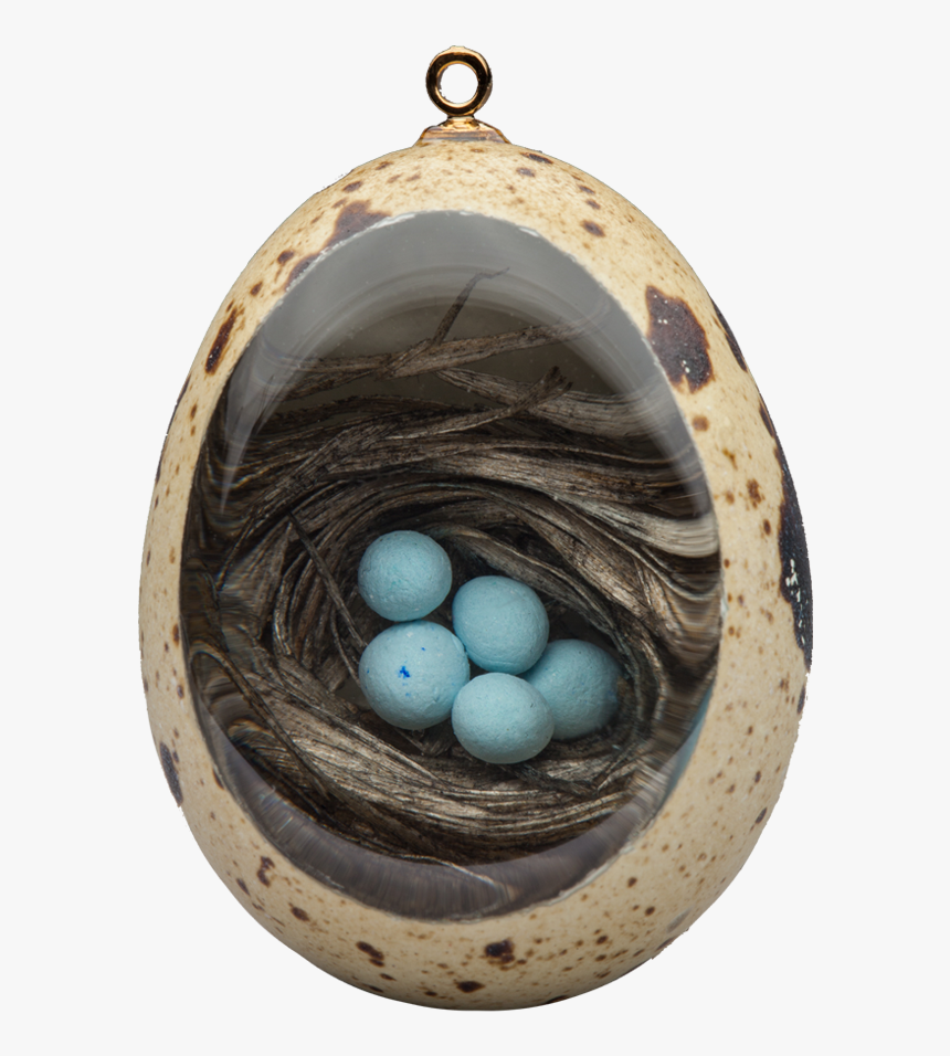 Robin"s Nest - Quail Egg Resin, HD Png Download, Free Download