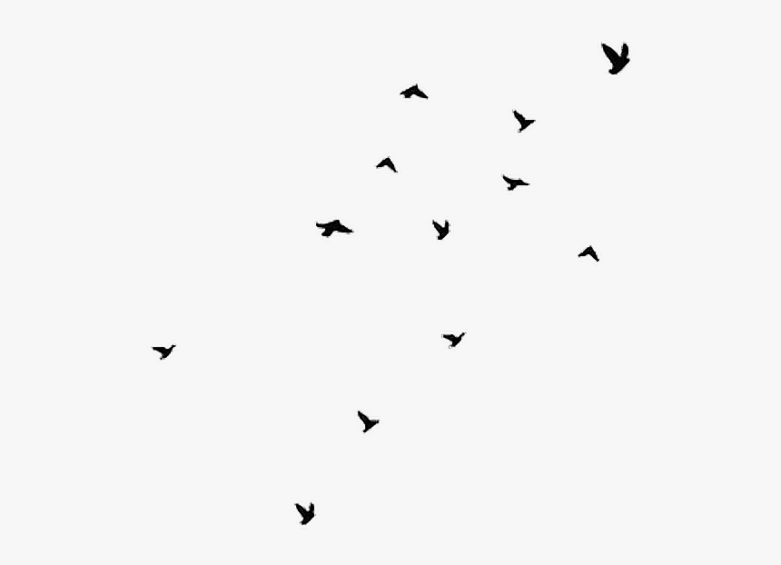 Aesthetic Clipart Bird Svg Library Stock Birds Black - Birds Flying Png Gif, Transparent Png, Free Download