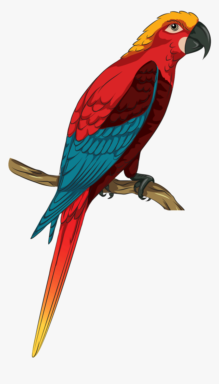 Parrot Glass Colour Etching, HD Png Download, Free Download