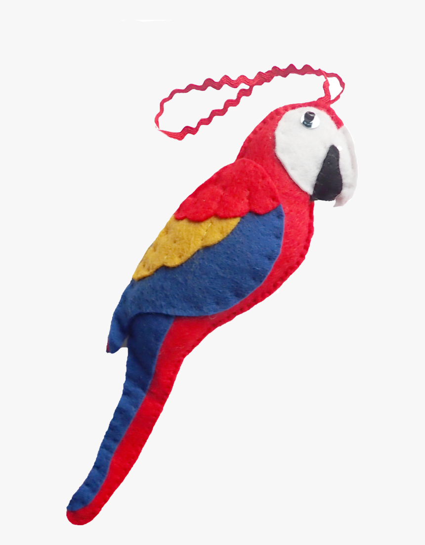 Macaw, HD Png Download, Free Download