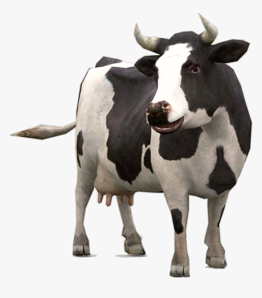  vaca Animals Useful To Us HD Png Download Kindpng