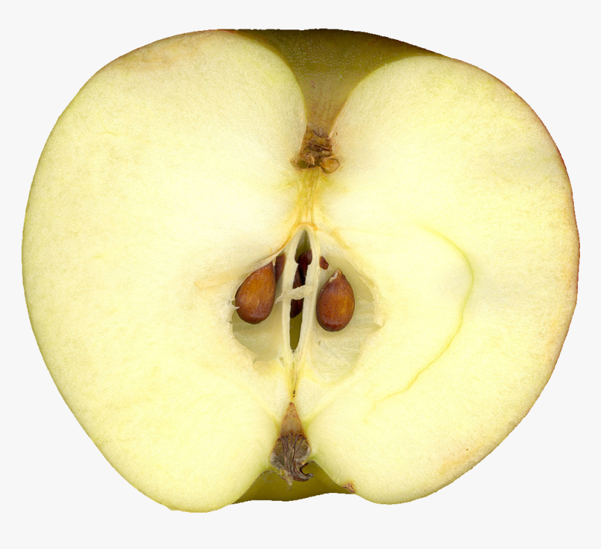 Preview - Apple Cut Open Png, Transparent Png, Free Download