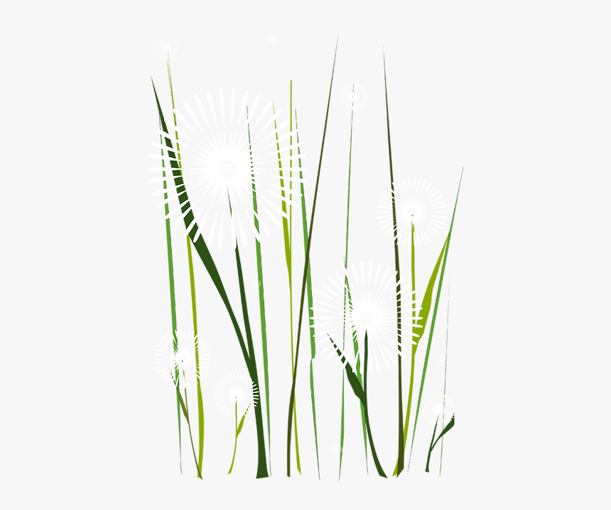 Grass, HD Png Download, Free Download