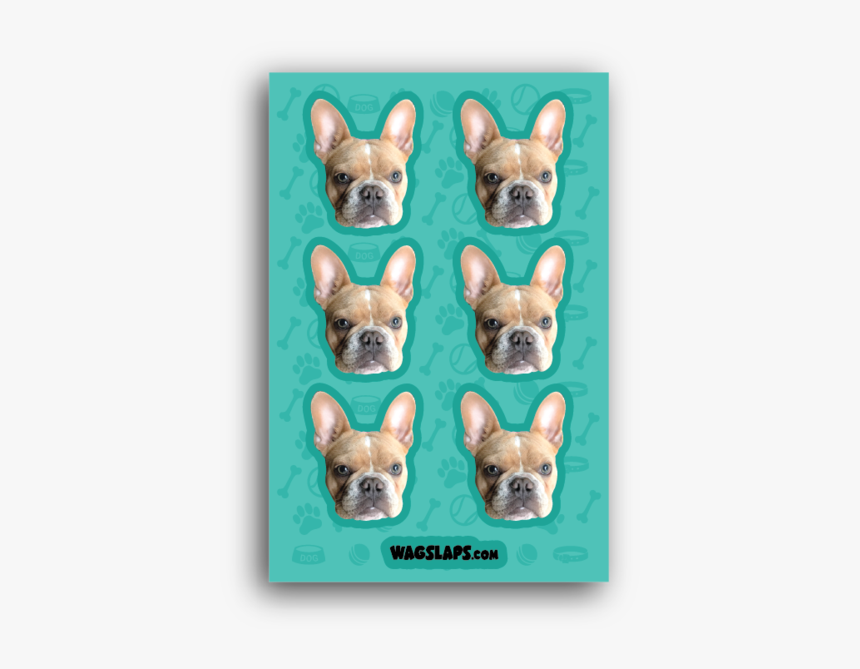 French Bulldog, HD Png Download, Free Download