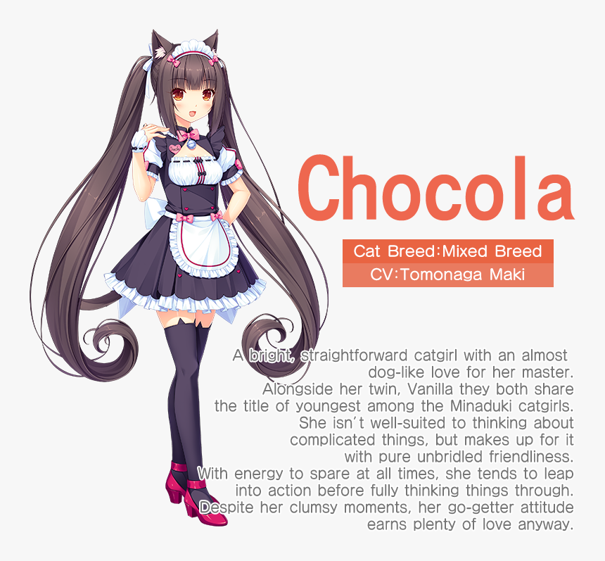 Chocola From Neko Para, HD Png Download, Free Download