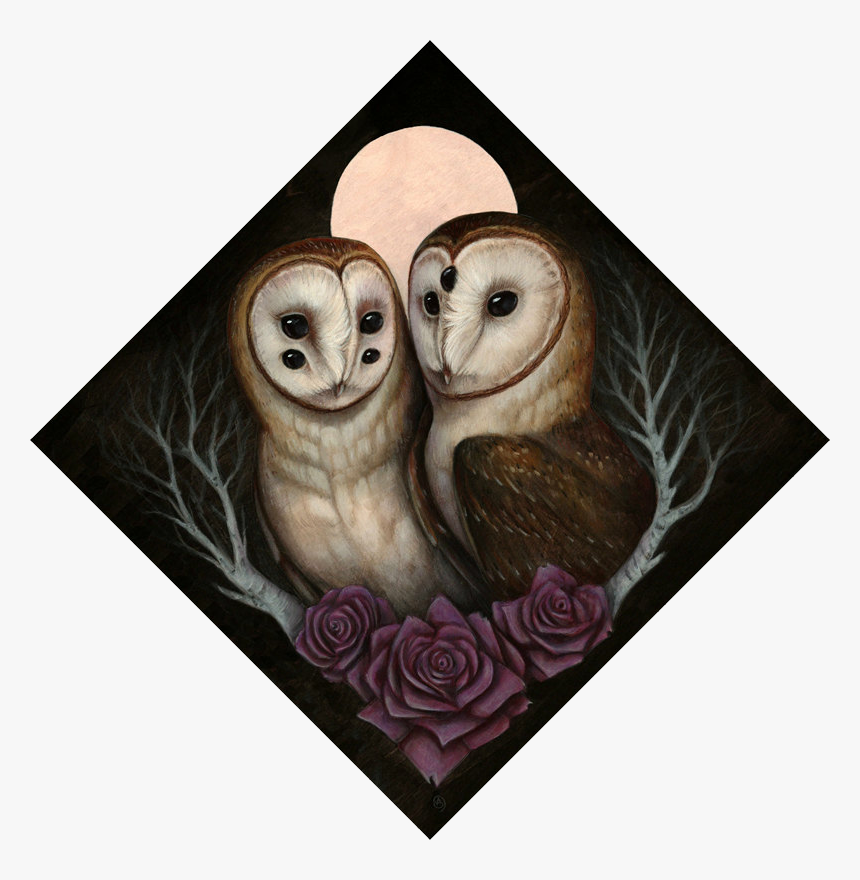 Barn Owl Couple Transparent - Barn Owl, HD Png Download, Free Download