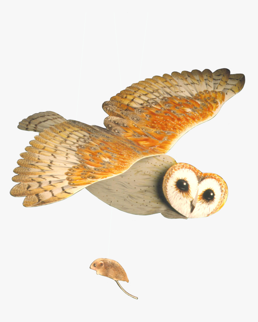 Owl Mobile, HD Png Download, Free Download