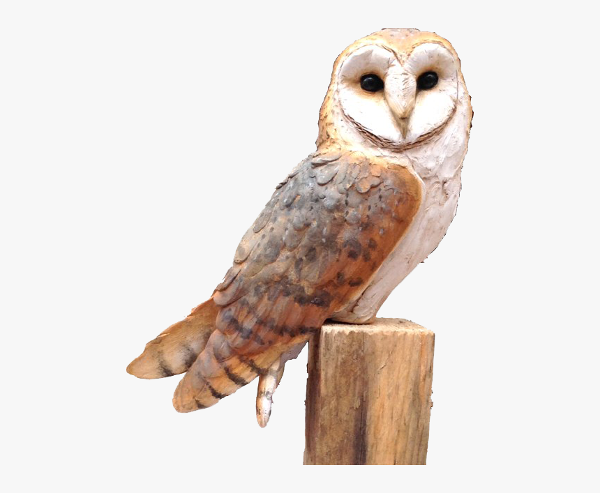 Owl Png Free Image - Barn Owl, Transparent Png, Free Download