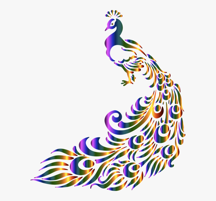 Clipart Peacock Transparent Background, HD Png Download, Free Download