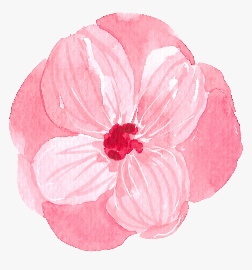 Thank You For Contacting Us - Persian Buttercup, HD Png Download, Free Download