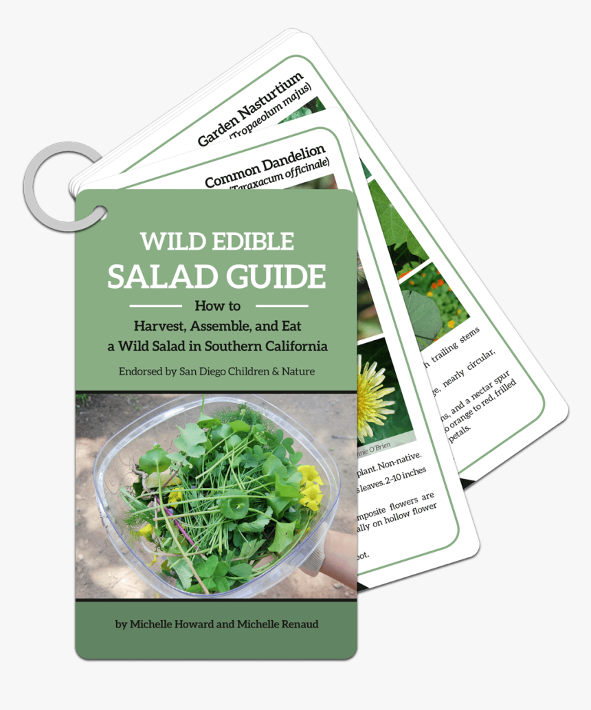 Wild Plant Salad, HD Png Download, Free Download