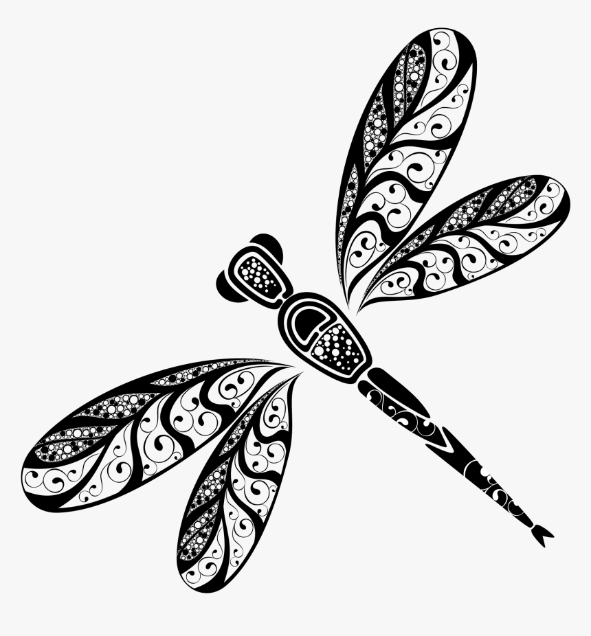 Dragonfly, HD Png Download, Free Download