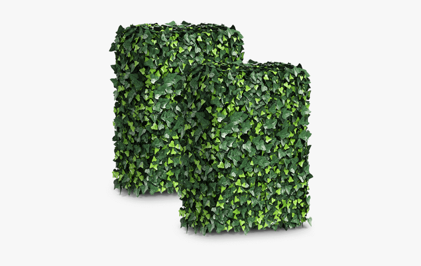 Hedge, HD Png Download, Free Download