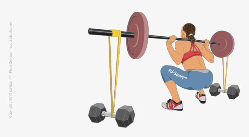 Squat With Elastic Bands - Powerlifting, HD Png Download, Free Download