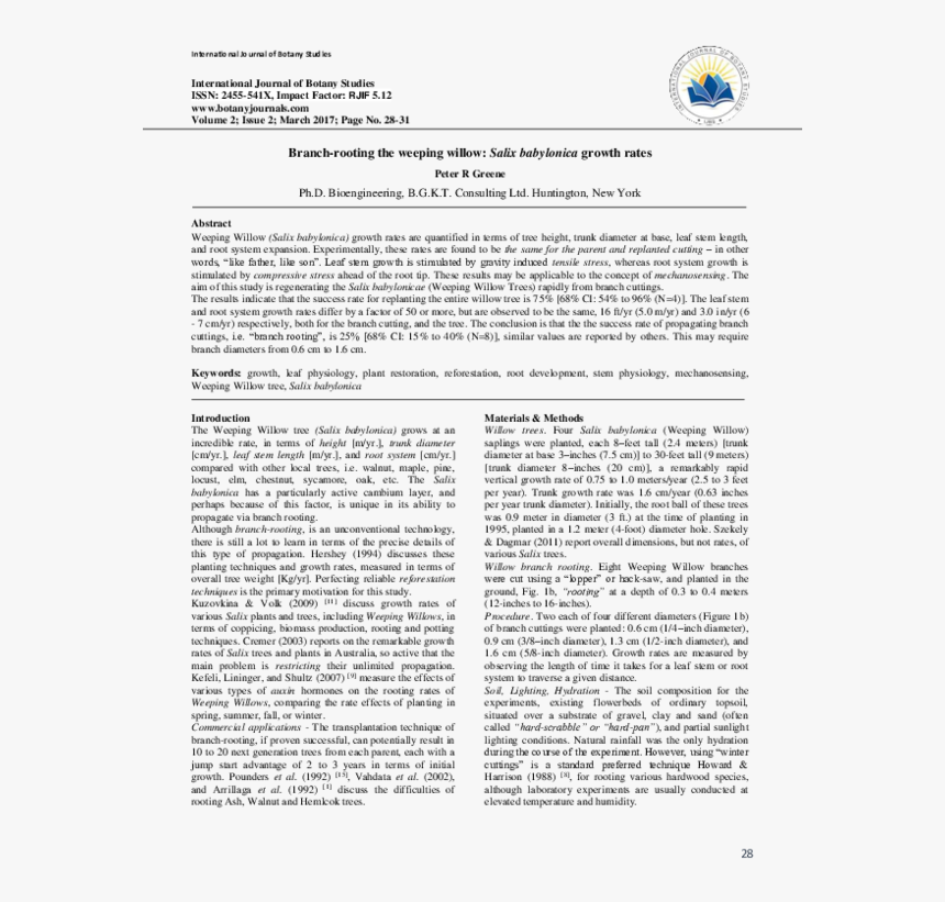 Document, HD Png Download, Free Download