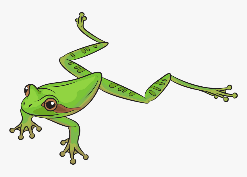 Frog Clipart, HD Png Download, Free Download