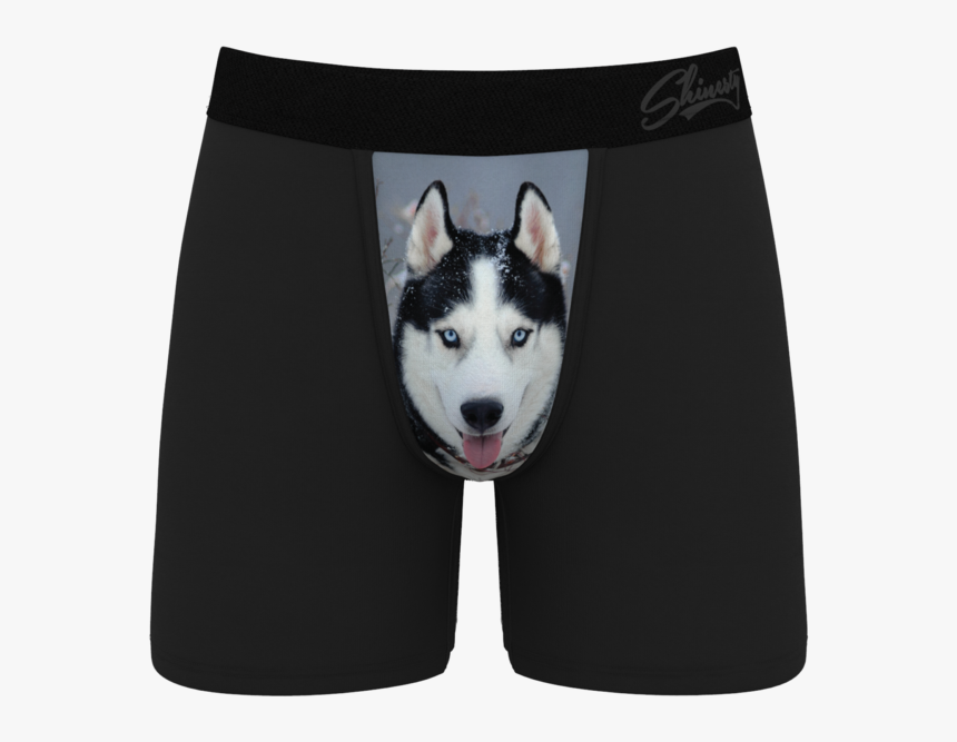 Men"s Husky Print Boxer Briefs - Dog Sledding Underpants, HD Png Download, Free Download