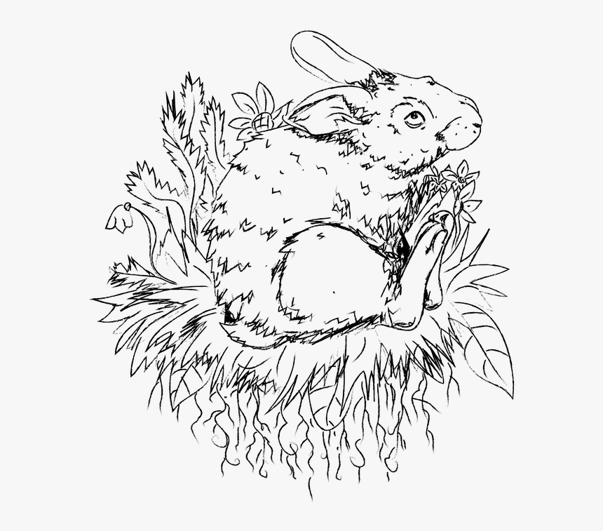 Easter Bunny 4085103 960 720 - Line Art, HD Png Download, Free Download