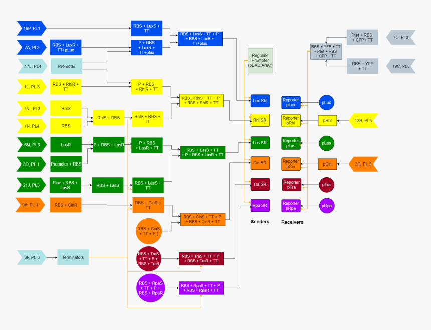 Diagram, HD Png Download, Free Download