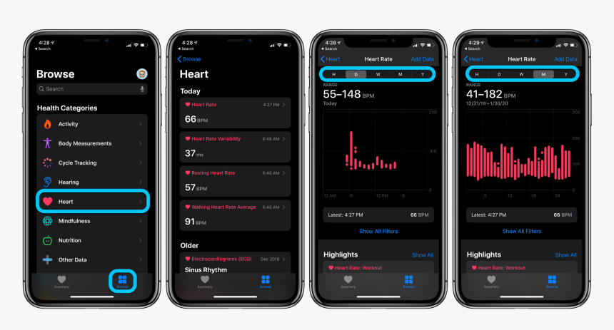 how to check heart rate in iphone 13