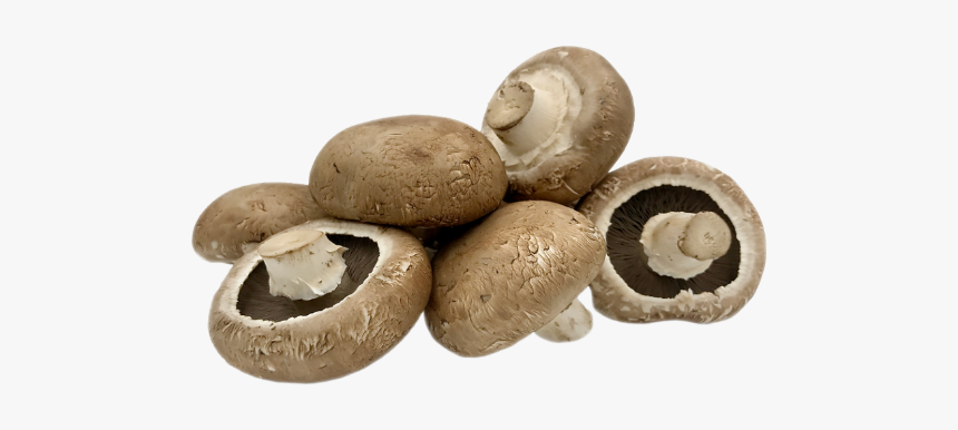 Shiitake, HD Png Download, Free Download