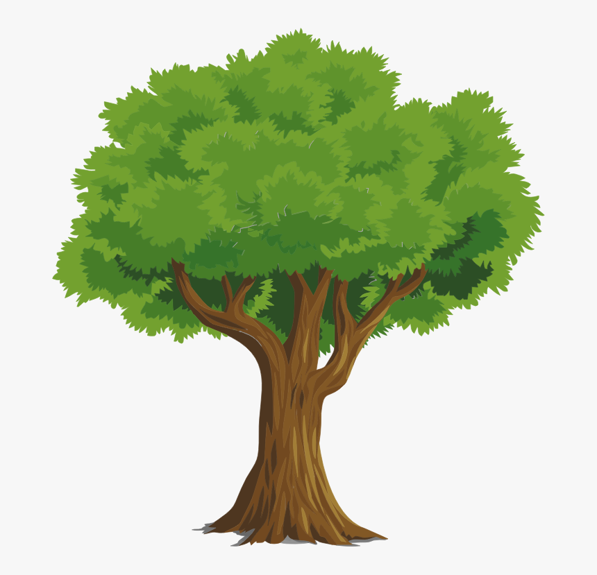 Tree Nature Clipart, HD Png Download, Free Download