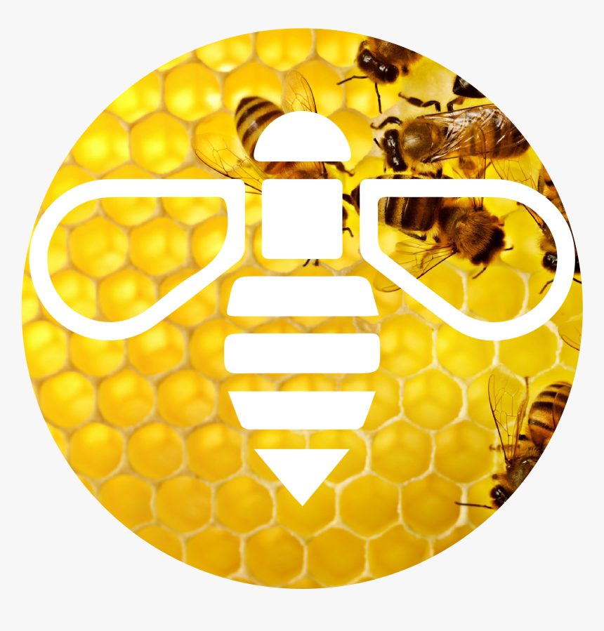 Why Bees Are Important - Bee Planet, HD Png Download, Free Download