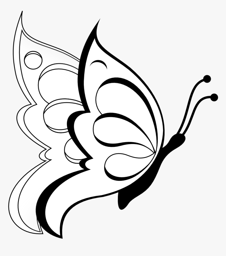 How to Draw a Butterfly (with Pictures) - wikiHow | Butterfly drawing, Easy  butterfly drawing, Butterfly art drawing