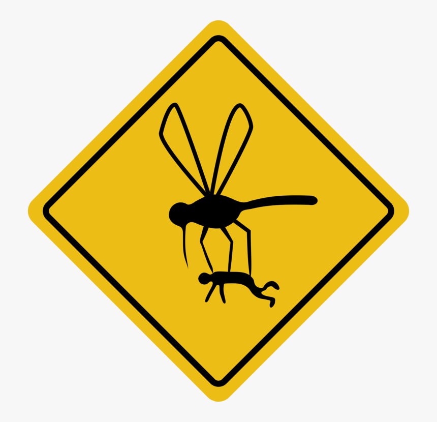 Invertebrate,area,symbol Mosquito Wisconsin State Bird, HD Png