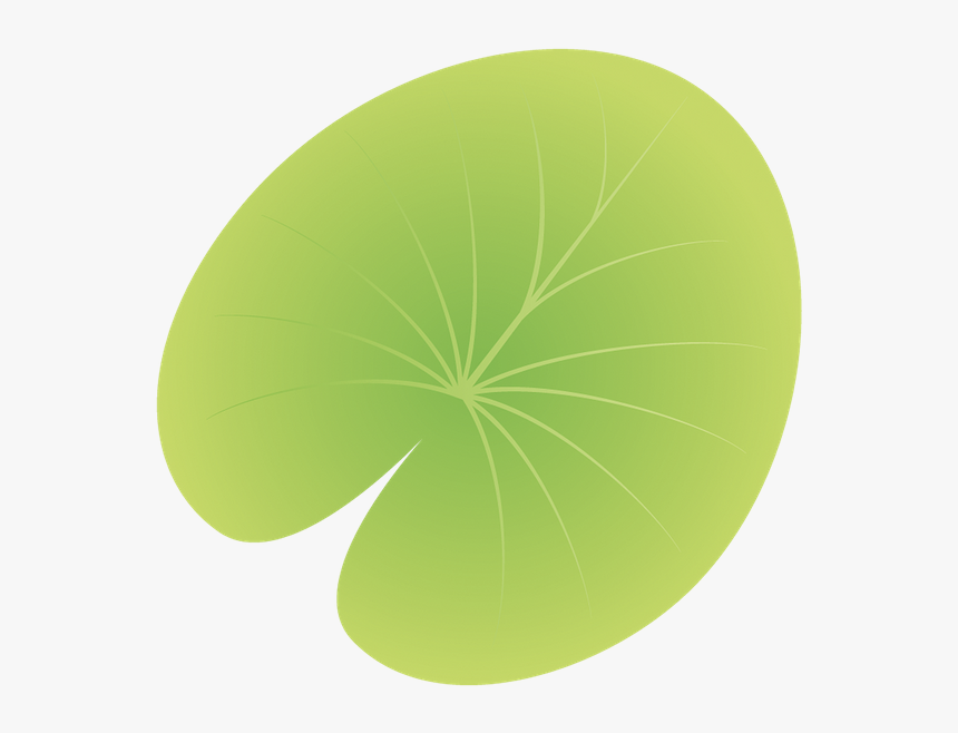 Лист Лотоса, Lotus Leaf, Зеленый Лист, Водное Растение, - Circle, HD Png Download, Free Download