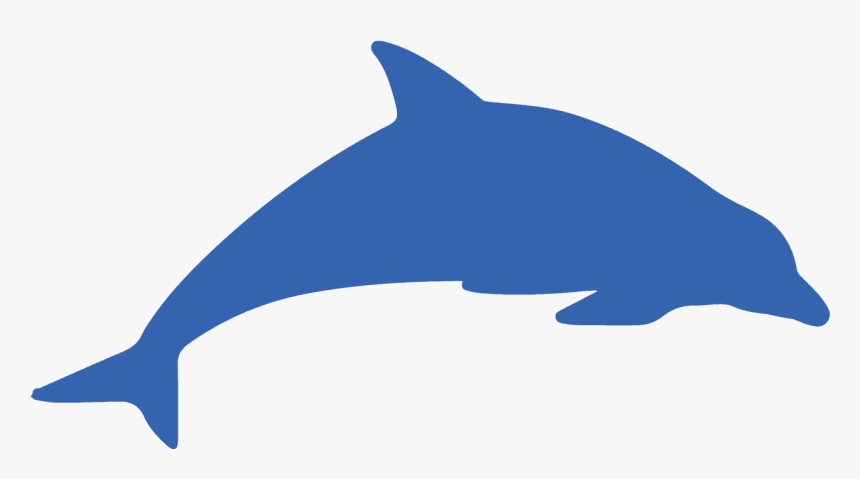 Transparent Dolphin Png - Portable Network Graphics, Png Download, Free Download