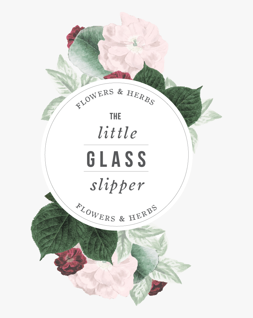 The Little Glass Slipper - Garden Roses, HD Png Download, Free Download