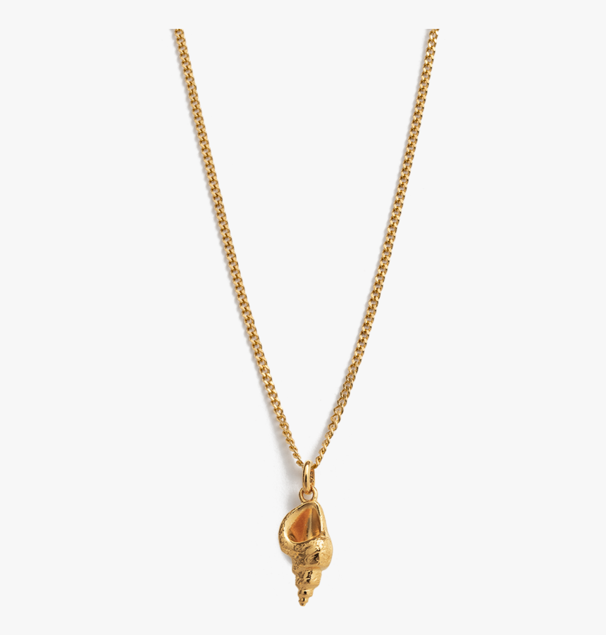 Conch Shell Necklace 18k Gold Vermeil - Little Mermaid Jewelry, HD Png Download, Free Download