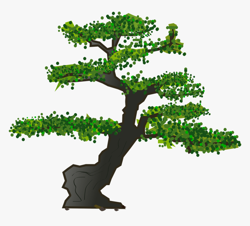 Bonsai Tree Vector Free, HD Png Download, Free Download