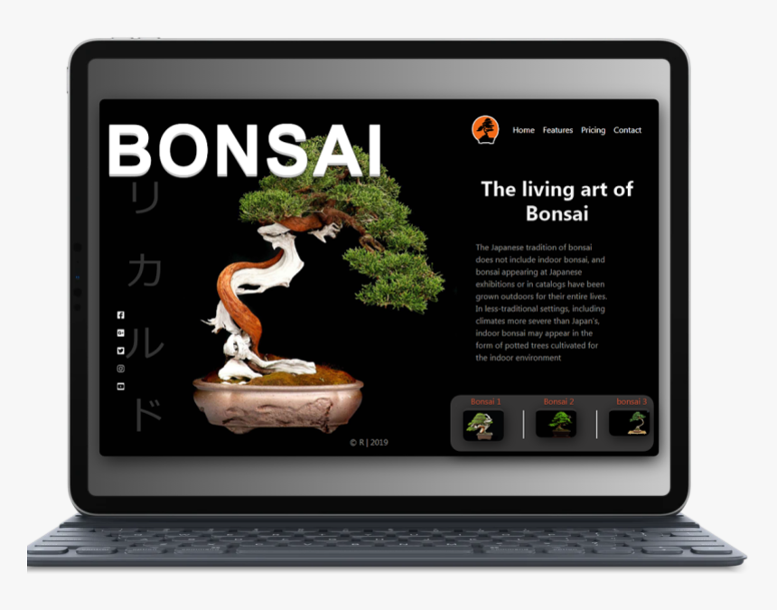 Smartmockups K0iaj3zd - Bonsai Yang Unik, HD Png Download, Free Download