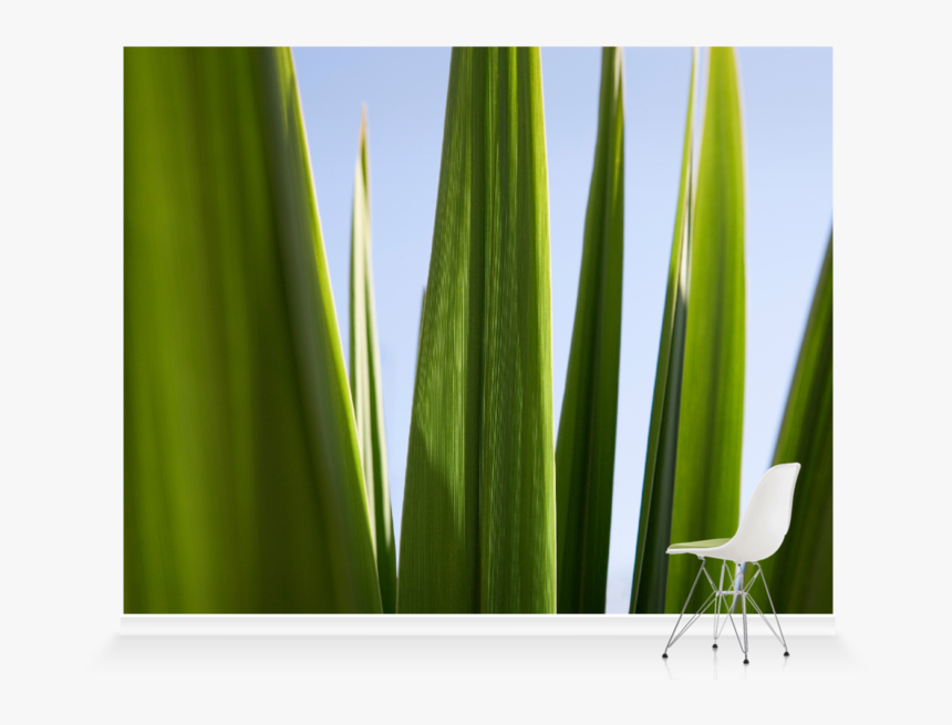 Grass, HD Png Download, Free Download