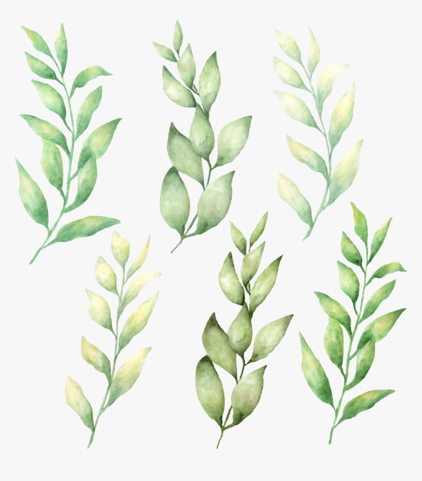 Sticker Watercolor Leaf Png, Transparent Png, Free Download