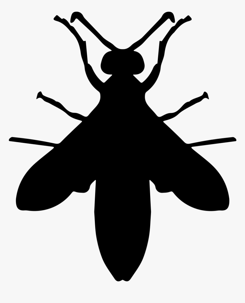 Wasp Silhouette - Avispas Silueta Png, Transparent Png, Free Download