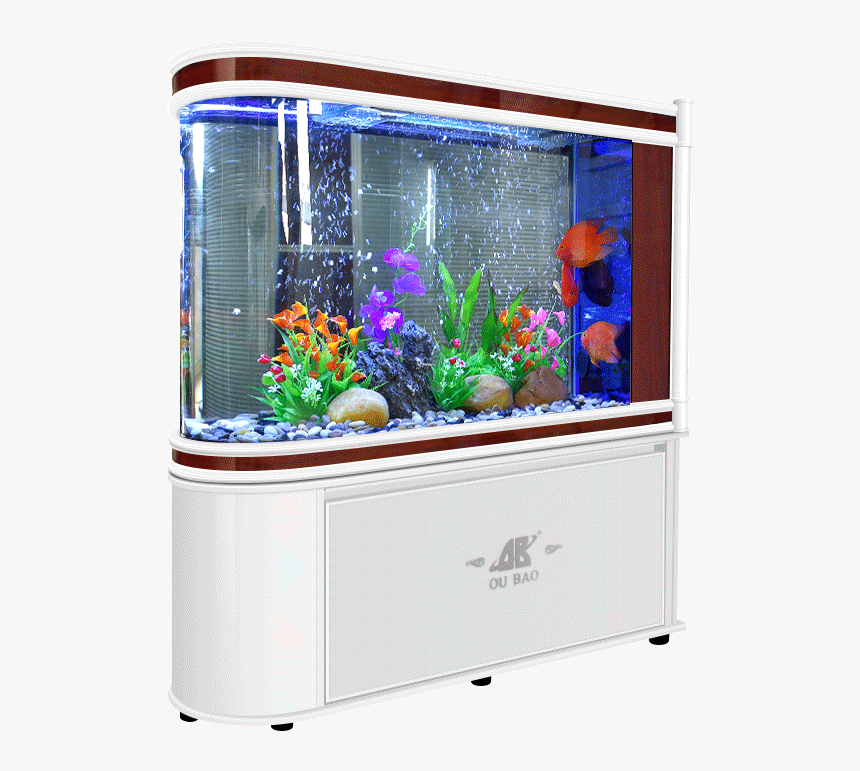 Freshwater Aquarium, HD Png Download - kindpng