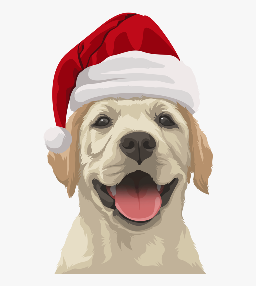 Labrador Retriever, HD Png Download, Free Download