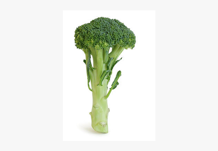 Bro Kohli Broccoli, HD Png Download, Free Download