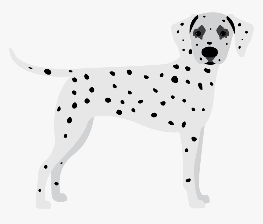 Dalmatian, HD Png Download, Free Download