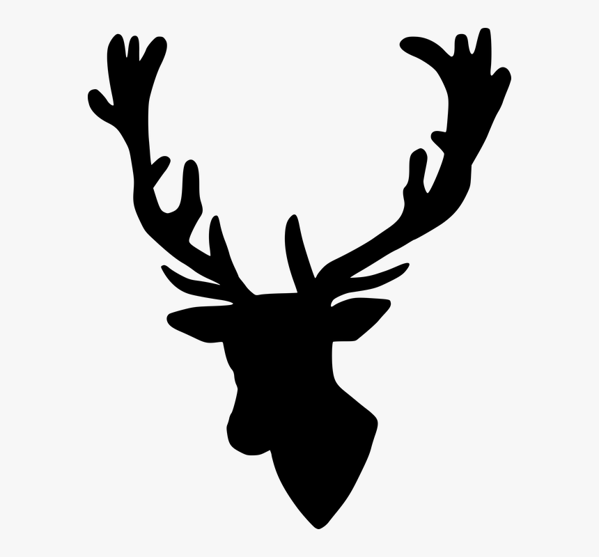 Elk, HD Png Download, Free Download