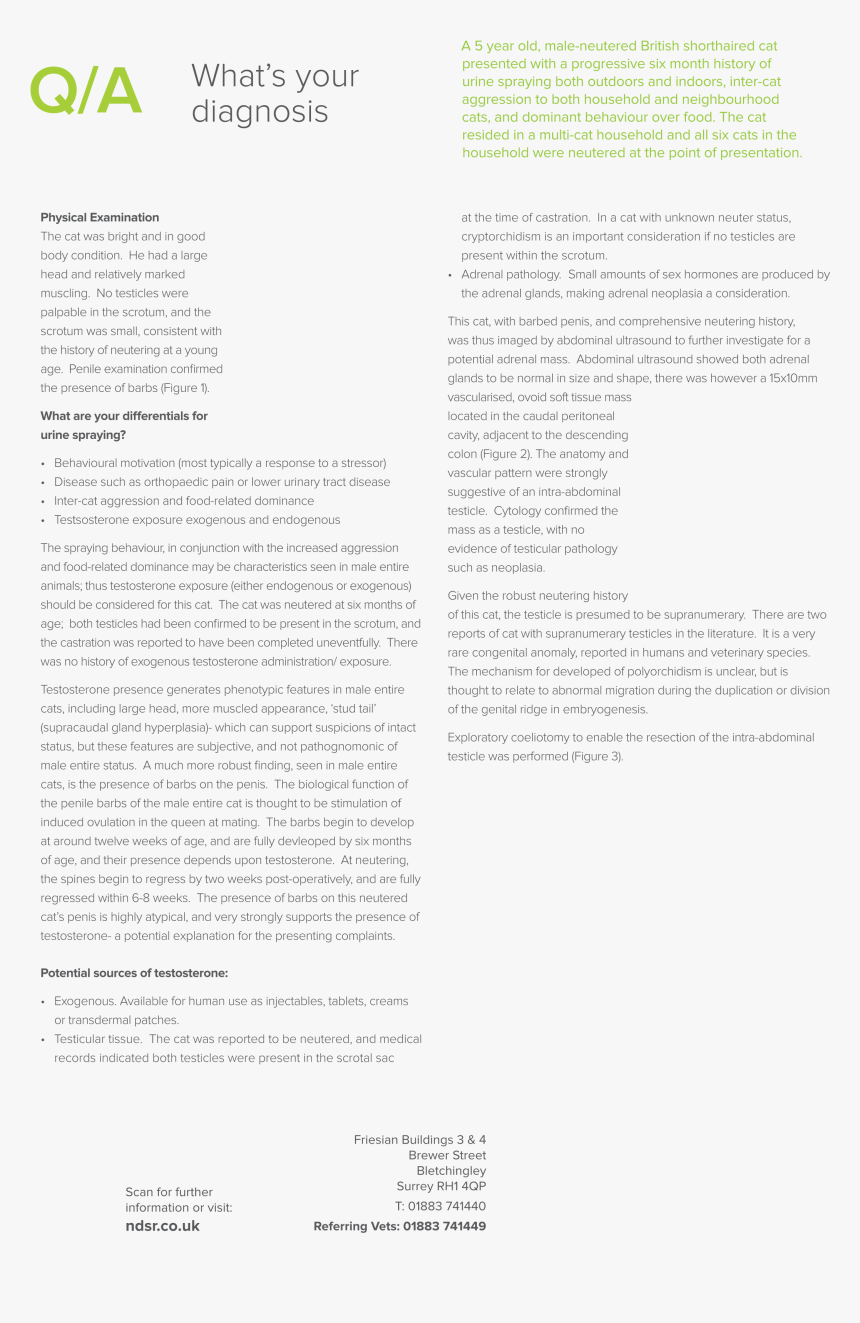 Document, HD Png Download, Free Download