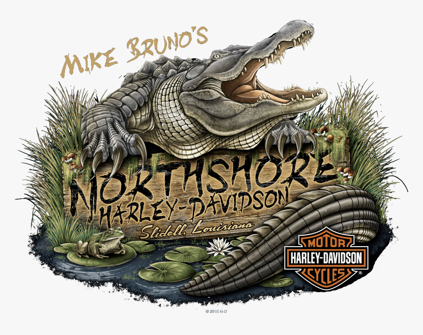 Mike Bruno's Northshore Harley Logo, HD Png Download, Free Download