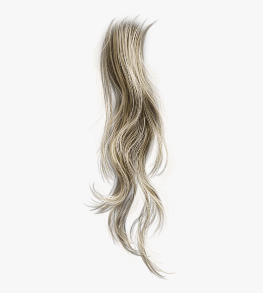 Blond Hair Png, Transparent Png, Free Download