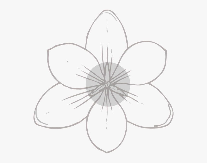 Download Silver Flowers Svg Clip Arts Flower Image Drawing Hd Hd Png Download Kindpng