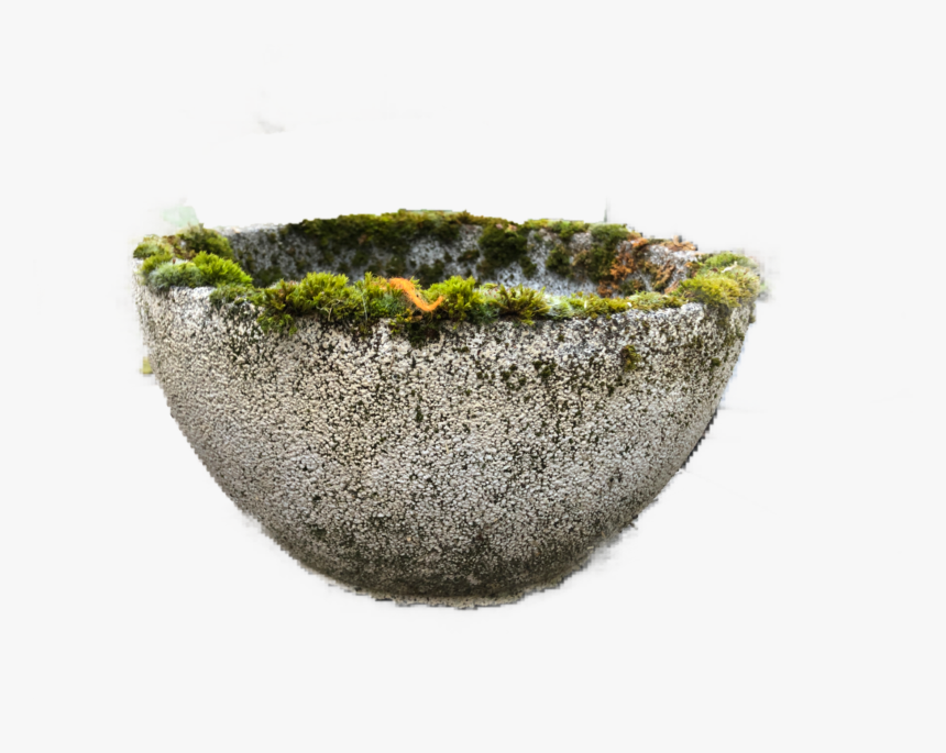 France Mid Century Table Top Bowl Planters - Moss, HD Png Download, Free Download